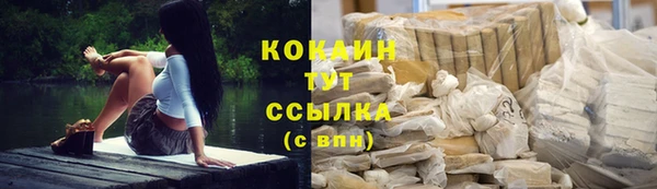 твердый Белокуриха
