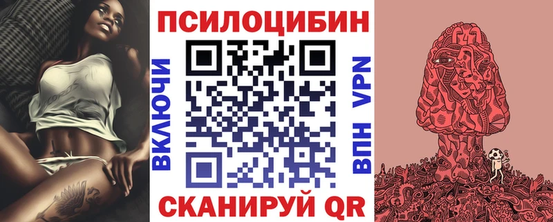 дарнет шоп  Туринск  Псилоцибиновые грибы Cubensis 